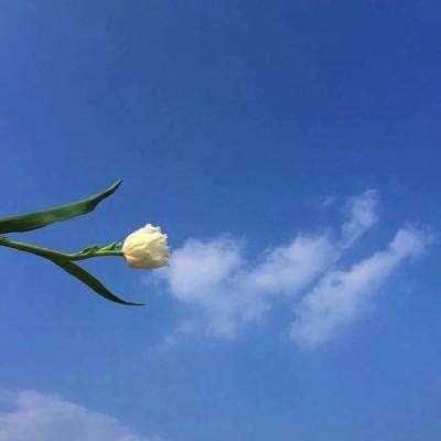 六扇门手机版下载